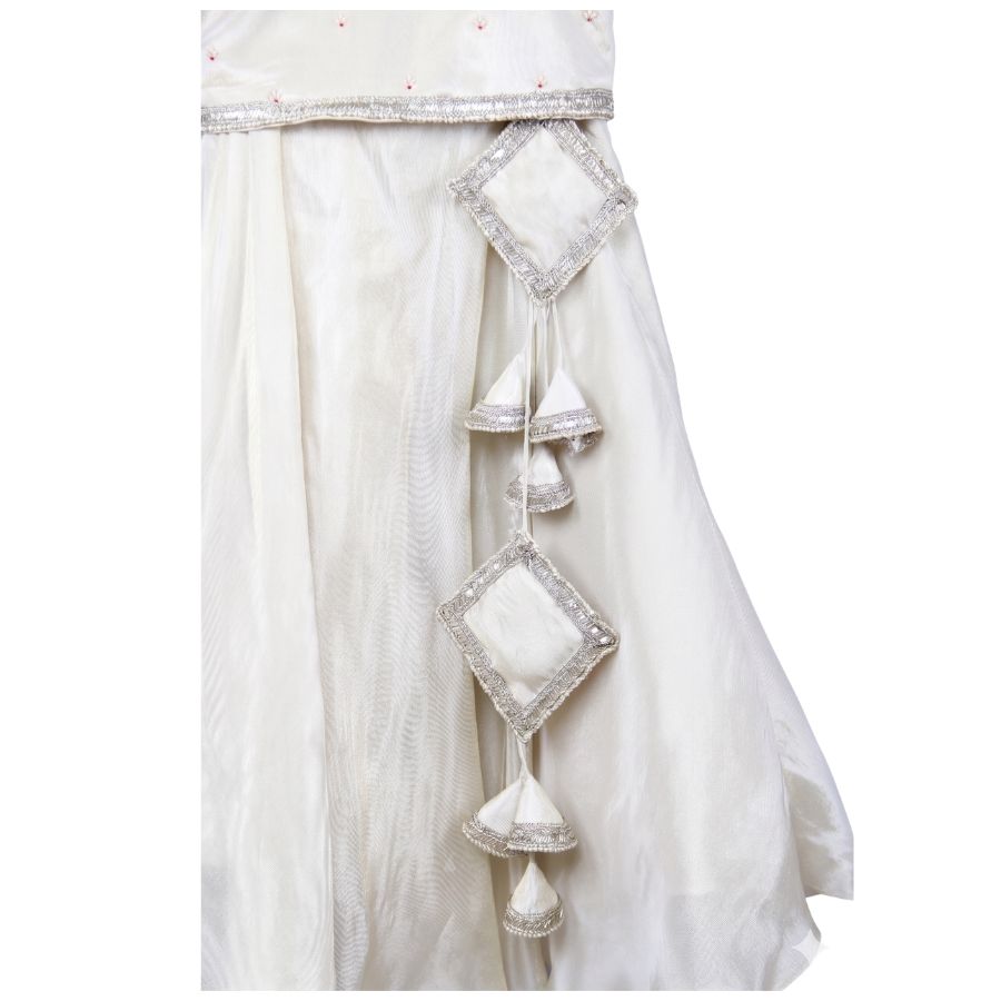 Royal dust lehenga set